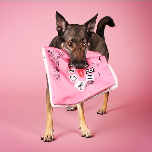 Mean Girls, Plush Dog Toys, Interactive Burn Book with Crinkle Sound, Large