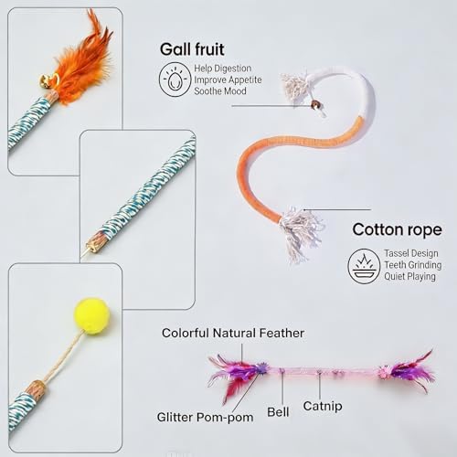 Cat Toys, 9 Pcs for Indoor Cats