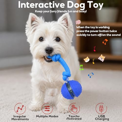 Interactive Dog Toys, Automatic Moving Dog Ball with Rope, Motion Activated, Squeaky, USB Rechargeable, Active Rolling Ball for Puppy
