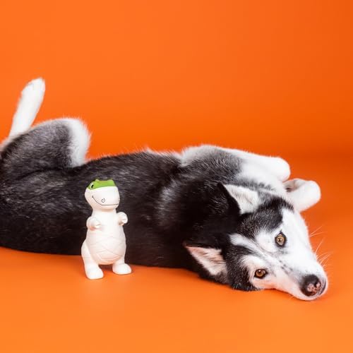 Fringe Studio Latex Dog Toy, HERE to Gauze Trouble PetShop Collection (366043)
