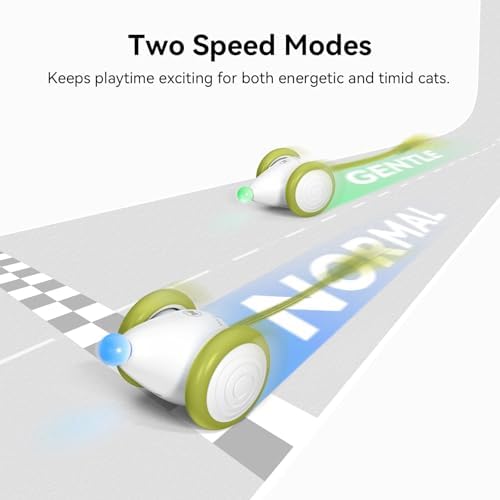 Cheerble Interactive Cat Toys for Indoor Cats, Automatic Moving Kitten Toys, Wicked Mouse Neo Cat Toy with Tail & Lights, Pet Cat Supplies, Rechargeable Cat Toys for Bored Indoor Adult Cats