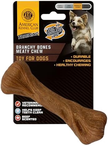 American Kennel Club Training Dog Chew Toy, Large PP Bone Dog Toy, Durable Dog Toy for Moderate Chewers, Beef Scented for Long-Lasting Engagement, Supports Dental Health, Natural