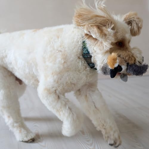 SPOT Bird Calls Plush Dog Toy with Realistic Bird Sound – 12" Sound Chip Toy for Dogs, One of Three Assorted Styles, Engaging Indoor Play for Small and Medium Breeds