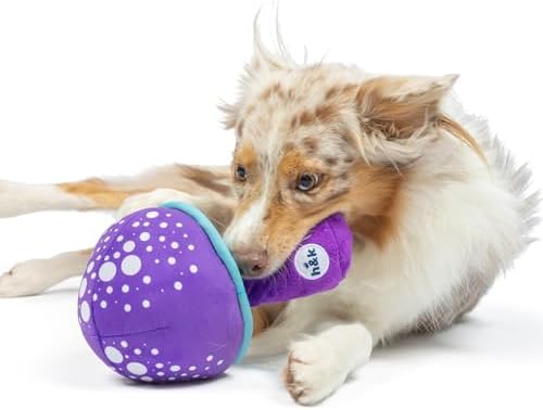 Huxley & Kent for Dogs | Mellow Mushroom (Small) | Funny Dog Toy | Power Plush Dog Toy with Squeaker | Dog Gift | Fun, Durable | H&K Squeaky Dog Toy, Purple, Blue