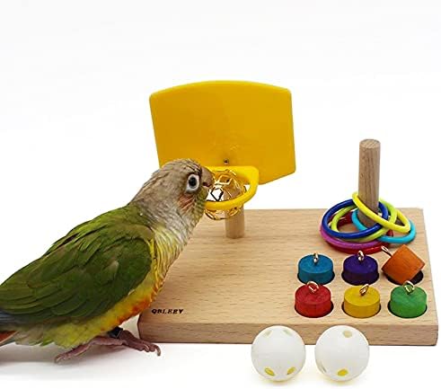 QBLEEV Bird Basketball Toy, Parrot Activity & Foraging Training Toys Set
