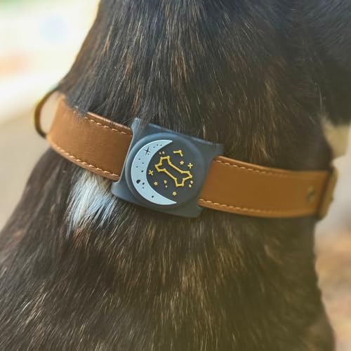 Two Tails Zodiac Dog Collar Holder Compatible with Apple AirTag