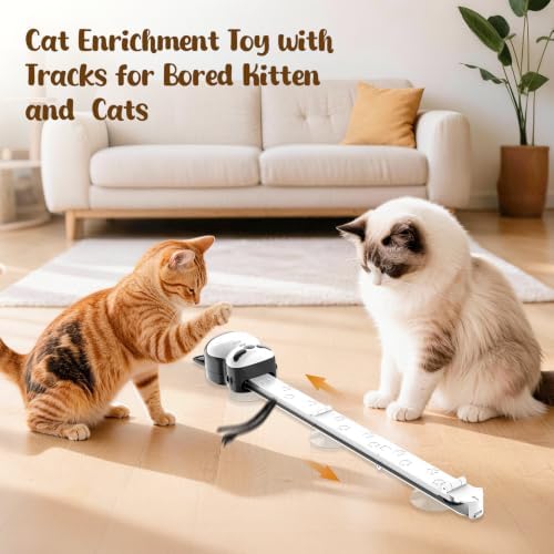 2-in-1 Electric Interactive Cat Chase Bounce Teaser Toy for Indoor Cats