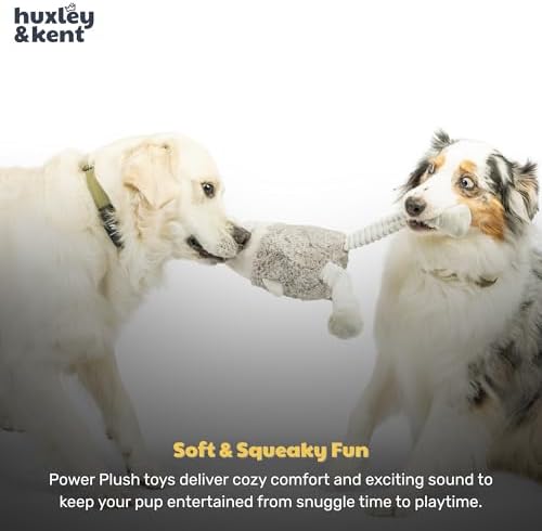 Huxley & Kent Funny Dog Toy w/Squeaker – Power Plush Squeaky Dog Toys for Small, Medium & Large Dogs – Soft Stuffed Animal for Indoor Play & Fetch - Squeak to Crunch - Lankies Binky Bunny, Large