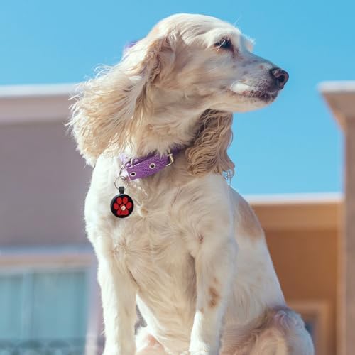 MYLUCKYTAG QR Code Pet ID | Personalized Dog & Cat Collar Tag | Online Profile with Instant Scanned Location Alert Email