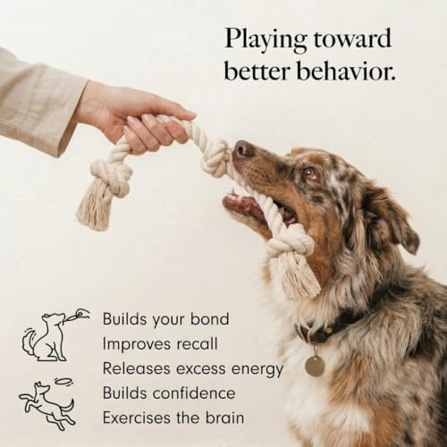100% Natural Cotton Dog Rope Toy for Large/Medium Aggressive Chewers, Interactive Rope Tug Toy, Tough Chew Toy to Tug of War Teeth Cleaning, Non Toxic and Indestructible (Large - 24")