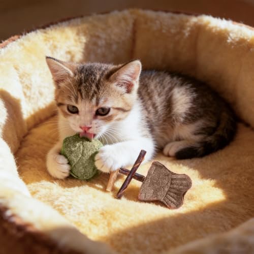 3Pcs Catnip and Silvervine Chew,Catnip and Silvervine Chew Toys for Cats,Natural Fishbone Chew Toy for Cats,Fishbone-Shaped Cat Dental Toy for Chewing,Licking,Pawing,Boredom Relief