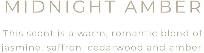 River Birch Candles Midnight Amber Scented Candle | Premium, All-Natural, Non-Toxic, Soy Wax | 8 oz. Silver Travel Tin | Cozy Relaxing Gifts for Home
