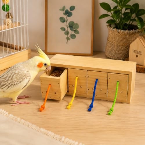 Bird Foraging Toys, Wooden Bird Foraging Box with 4 Compartments, Interactive Parrot Puzzle Toy for Treat Dispensing and Natural Enrichment, Parakeet, Cockatiel, Lovebird and Conure Cage Accessories