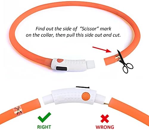 BSEEN Light Up Dog Collar, Glowing LED Dog Collar Rechargeable Cuttable Lighted Puppy Collar Safety Dog Lights Makes Your Beloved Dogs Be Seen at Night(Orange)