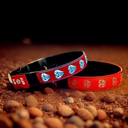 Personalized Dog Collar Waterproof airtag Dog tag Holder,USB C Light up Night Black Dog Collar (RED, XL(19.7-23.6"))