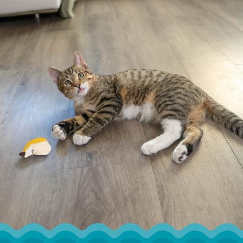 Catstages Dental Banana Cat Toy with Catnip, Dental Mesh & Crinkle Sound, Interactive Kicker for Indoor Cats & Kittens, 5.3"