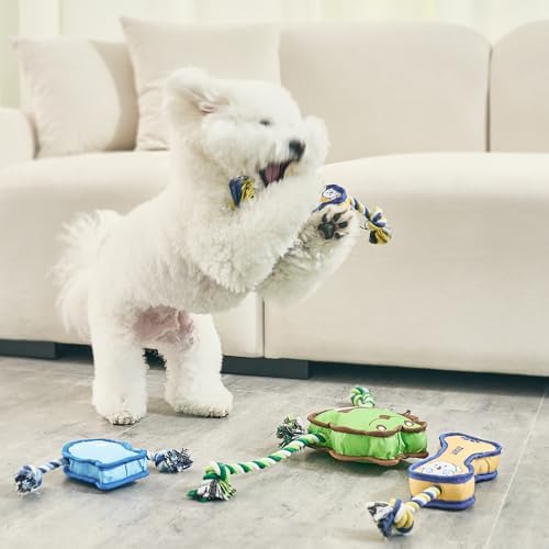 Durable Dog Toy – Interactive Rope Chew Toy with Crinkle Sound – Tough 1680D Fabric Tug Toy for Small, Medium & Large Dogs (Small, Bone)