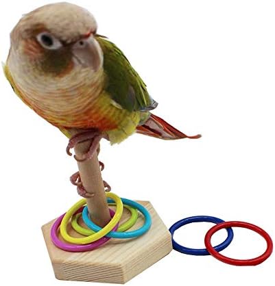 QBLEEV Bird Tabletop Toy, Parrot Activity & Training Trick Color Ring Toys