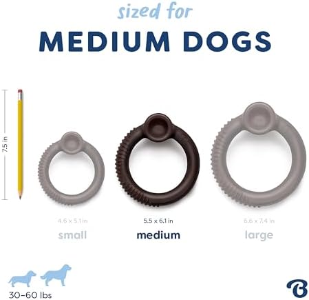 Benebone Ring Dog Chew Toy for Aggressive Chewers, Blueberry, Medium