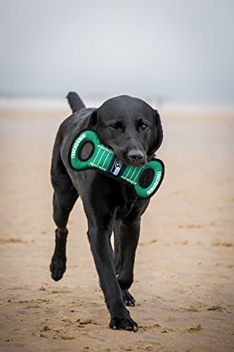 NFL Football Field DOG TOY with Squeaker. - SEATTLE SEAHAWKS - For Tug, Toss, and Fetch. - Tough & Durable PET TOY
