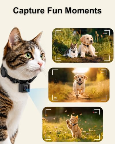 Cat Camera Collar with Tracker Tag, 1080P HD Pet POV Action Cam, No WiFi No App One-Click Video Recorder for Cats & Small Dogs — Lightweight 0.7oz, Night Vision,Laptop Playback