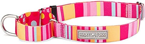 Lucky Love Dog Martingale Collar for Large Dogs No Slip Cute – Molly, Large