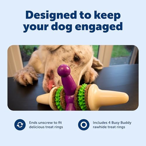 PetSafe Busy Buddy Jack - Treat Holding Dog Chew Toys - Helps Clean Teeth - Vanilla Scented Rubber for Strong Chewers - Treat Refills Included - Interactive Dog Toy Keeps Dogs Busy - Purple, Large