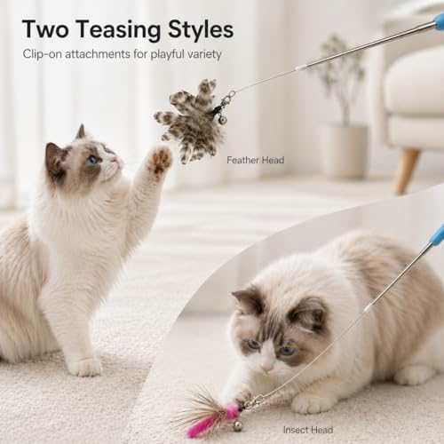 Cat Wand Toy Set, Retractable Stainless Steel Wand with 3 Interchangeable Attachments, Feather, Insect, Cotton Rope