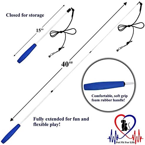 Pet Fit for Life Retractable Interactive Cat or Kitten Wand with 2 Feathers and 1 Soft Furry Combo