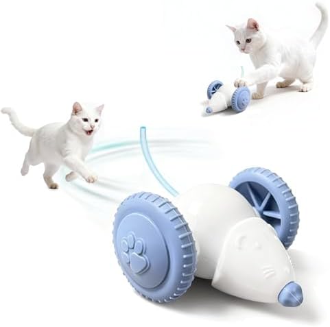 Interactive Cat Toys for Indoor Cats,Automatic Moving Kitten Toys,Cat Balls
