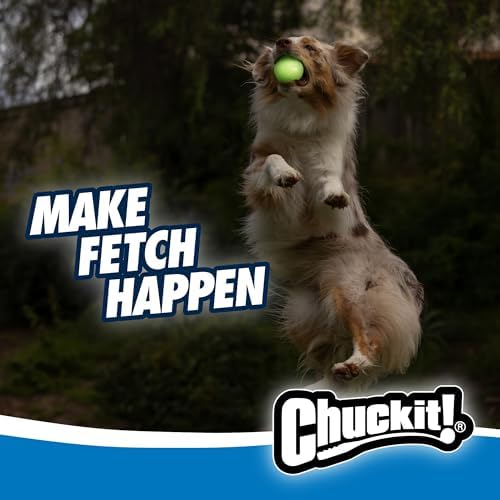 Chuckit! Max Glowin the Dark Bouncy Ball for Dogs, Large 3in, 1 Pack