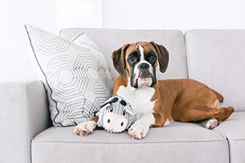 Outward Hound Fattiez Squeaky Plush Dog Toy, Pig, Small, 6.8"