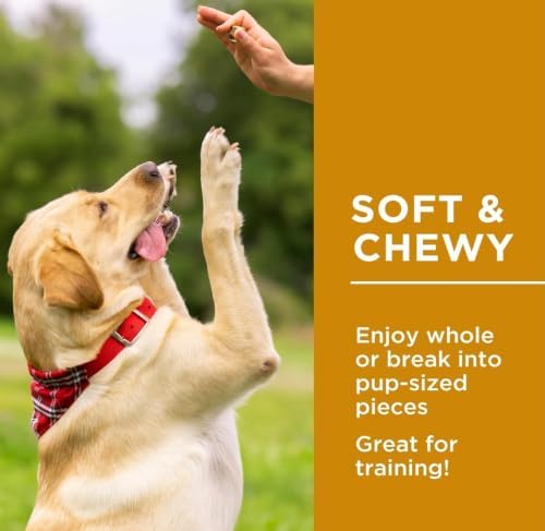 Premium Dog Treats, Dog Delights Chewy Lamb Sticks, No Artificial Preservatives,No Additives or Colors, 44 oz with Bone Waste Bag Dispenser