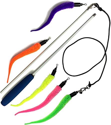 Pet Fit For Life Cat Wand Toy, 5-Piece Worm Teaser & Exerciser
