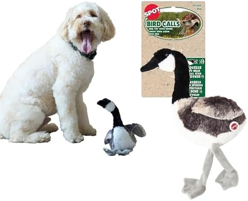 SPOT Bird Calls Plush Dog Toy with Realistic Bird Sound – 12" Sound Chip Toy for Dogs, One of Three Assorted Styles, Engaging Indoor Play for Small and Medium Breeds