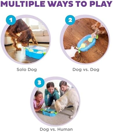 Outward Hound Nina Ottosson Paw N' Play Dog Toy Treat Puzzle, 15.4" | Level 2 Intermediate, Holds 1/3 Cup Kibble or Treats, Non-Slip Base, Easy Clean, Interactive Enrichment, Dogs & Puppies