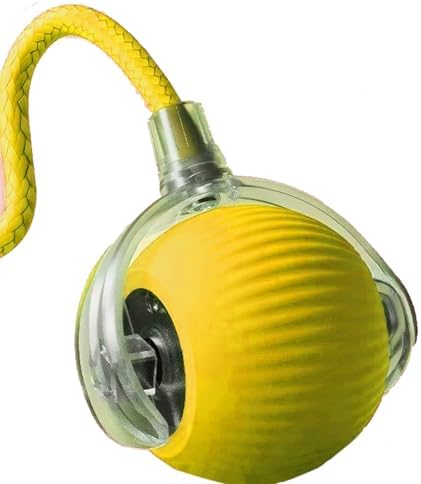 Interactive Electric Pet Ball, USB Rechargeable Auto Rolling Toy with Tail