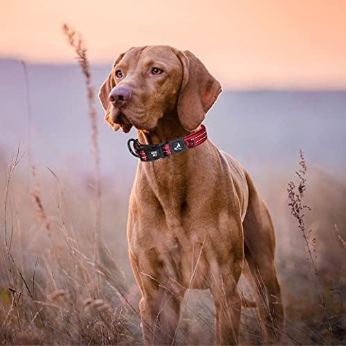 Kruz Dog Collar for Large Dogs (Width- 1", Length - 25"-27.5") Reflective Adjustable Pet Neck Band with Comfortable Neoprene Padding, Heavy-Duty O-Ring, 100% Nylon Strap (Blue, X-Large)