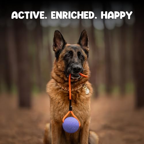 Dog Ball Toy with Rope, Durable EVA Foam Floating Dog Toy, Interactive Fetch & Toss n’ Train Tug Ball for Dogs, Bouncy Pet Ball for Outdoor Indoor Play - Purple, Large