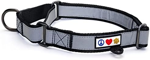 Pawtitas Personalized Dog Collar Martingale Dog Collar with Name Phone Number Reflective Martingale Dog Collar Customized Collar for Medium Dogs | Black Custom Dog Collars for Medium Dogs