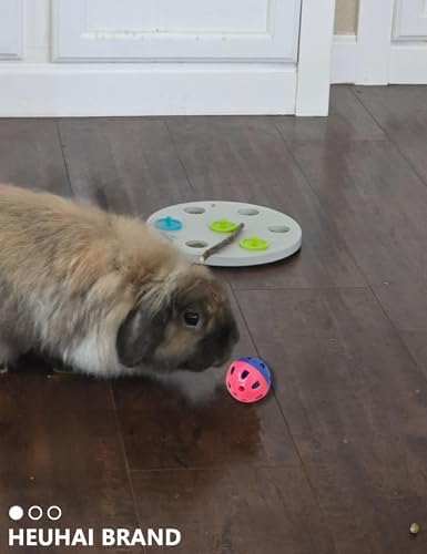 10 Pack Rabbit Toys for Bunnies - Safe, Fun and Long-Lasting Toys