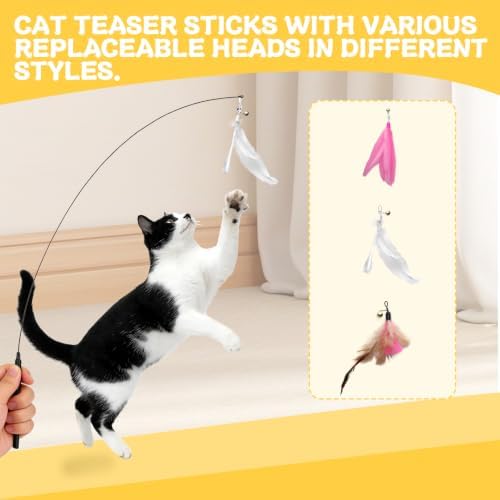 Cat Ball Track Toy, Interactive Cat Toy for Indoor Cats