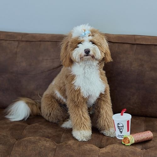 KFC Mini Chicken Wrap & Soda Meal – 2-Piece Vinyl Squeaky Dog Toy Set – Includes 6” Chicken Wrap & 6” Soft Drink Cup – Lightweight, Fun, and Interactive Play for Small & Gentle Chewers