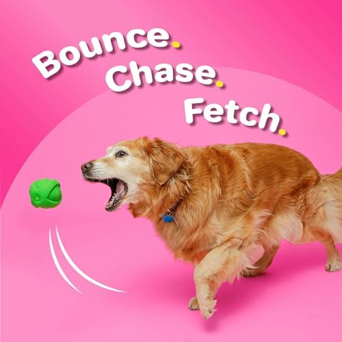 Hartz DuraPlay Bacon Scented Dog Toys, Large 1 Count, Colors May Vary (Pack of 2)