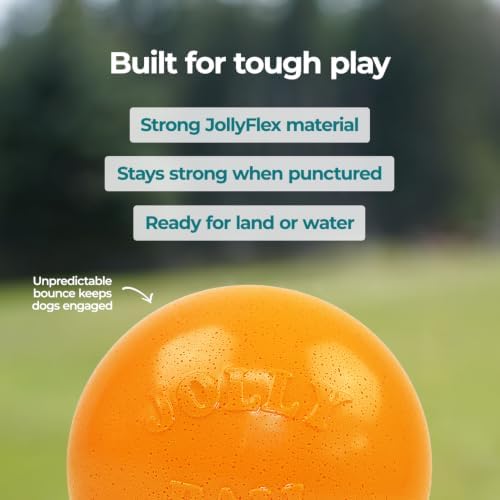 Jolly Pets Dog 6-Inch Bounce-n-Play, Orange, 6 Inches/Medium