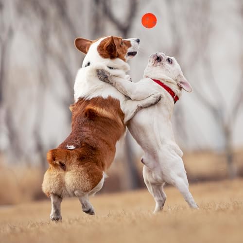 Dog Toy Balls for Small Dogs & Puppies, Chew & Chase Interactive 2” Soft Latex Balls, Durable Dogs Play Balls for Indoor/Outdoor (9 Pcs)