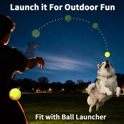 LaRoo 2026 New Version LED Dog Ball, USB Type-C Rechargeable Motion Activated Light Up Dog Ball, IP56 Waterproof Soft Silicone Interactive Glow Light Up Ball for Dog Night Outdoor Play, 2.5 Inch