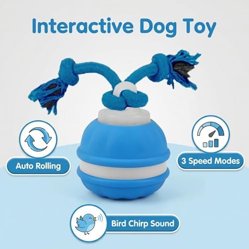 Winb Interactive LED Dog Ball （4 inch）- USB Rechargeable Motion-Activated Rolling Toy for Small to Large Dogs, Dogs Ball Play and Wicked Fun, Squeaky Sound & Stimulation, Blue