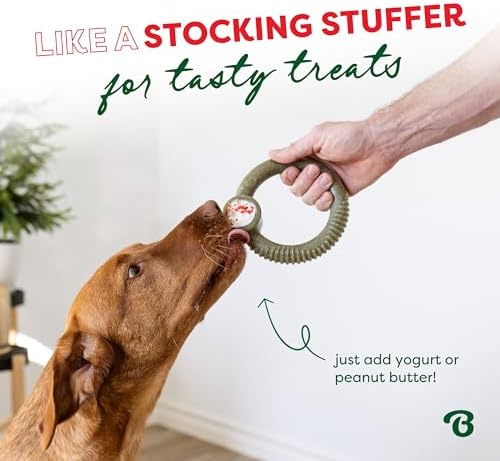 Benebone Ring Dog Chew Toy for Aggressive Chewers, Peppermint, Medium