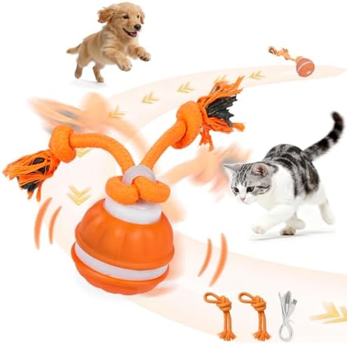 Interactive Dog & Cat Toy, Auto Chirping Ball, Rechargeable Self Play